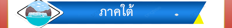 การแข่งขันภาคใต้