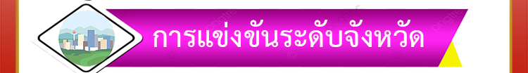 การแข่งขันระดับจังหวัด